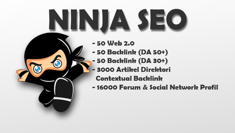 Jasa Paket SEO Ninja Silver